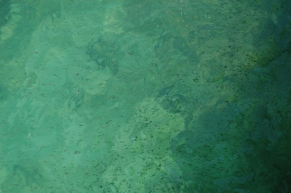 DSC_0337.JPG