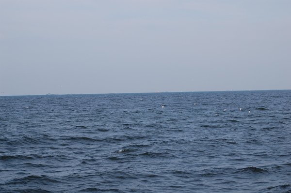 DSC_0414.JPG