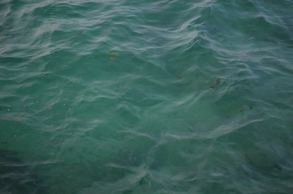 DSC_0428.JPG