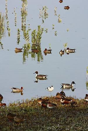 IMG_7173