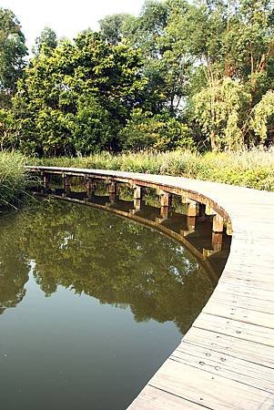 IMG_7211