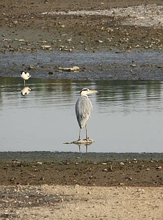 IMG_7247