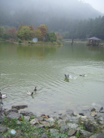 山上空氣好