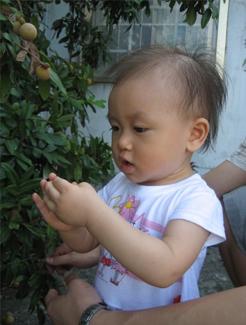 IMG_0832.jpg
