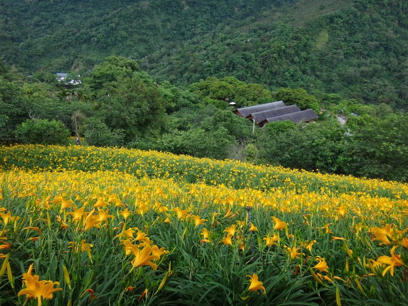 DSC05994_調整大小