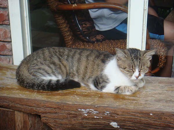 DSC03873.JPG