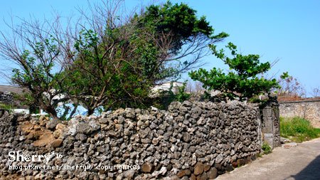 20090427~29-17.jpg