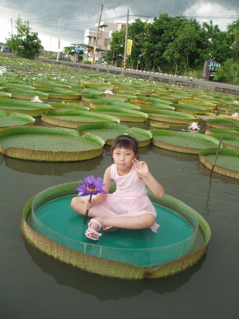 2011-08-16_02_台南白河_蓮緣蓮花池_02_蓮花仙子.jpg