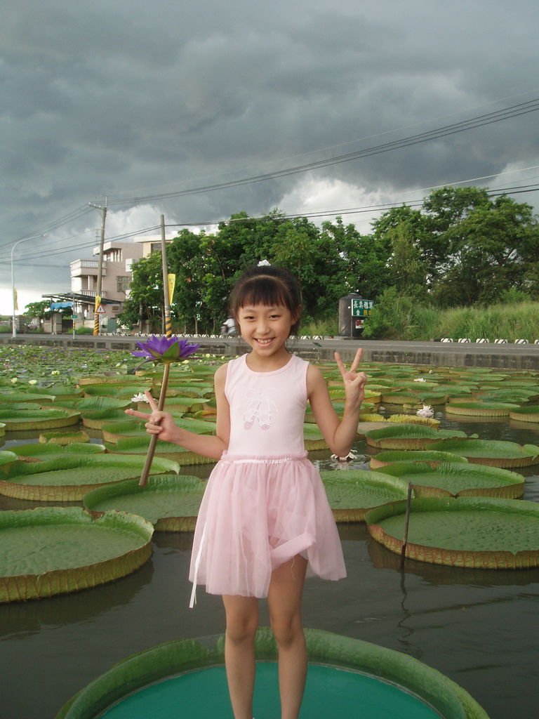 2011-08-16_02_台南白河_蓮緣蓮花池_03_蓮花仙子.jpg