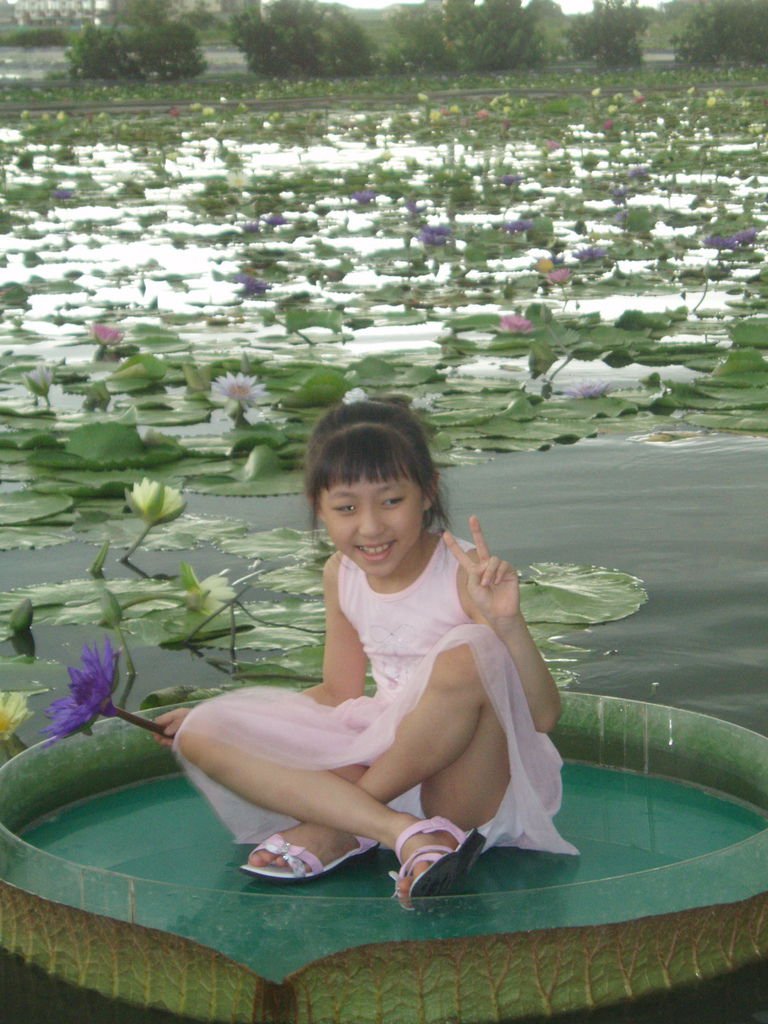 2011-08-16_02_台南白河_蓮緣蓮花池_04_蓮花仙子.jpg