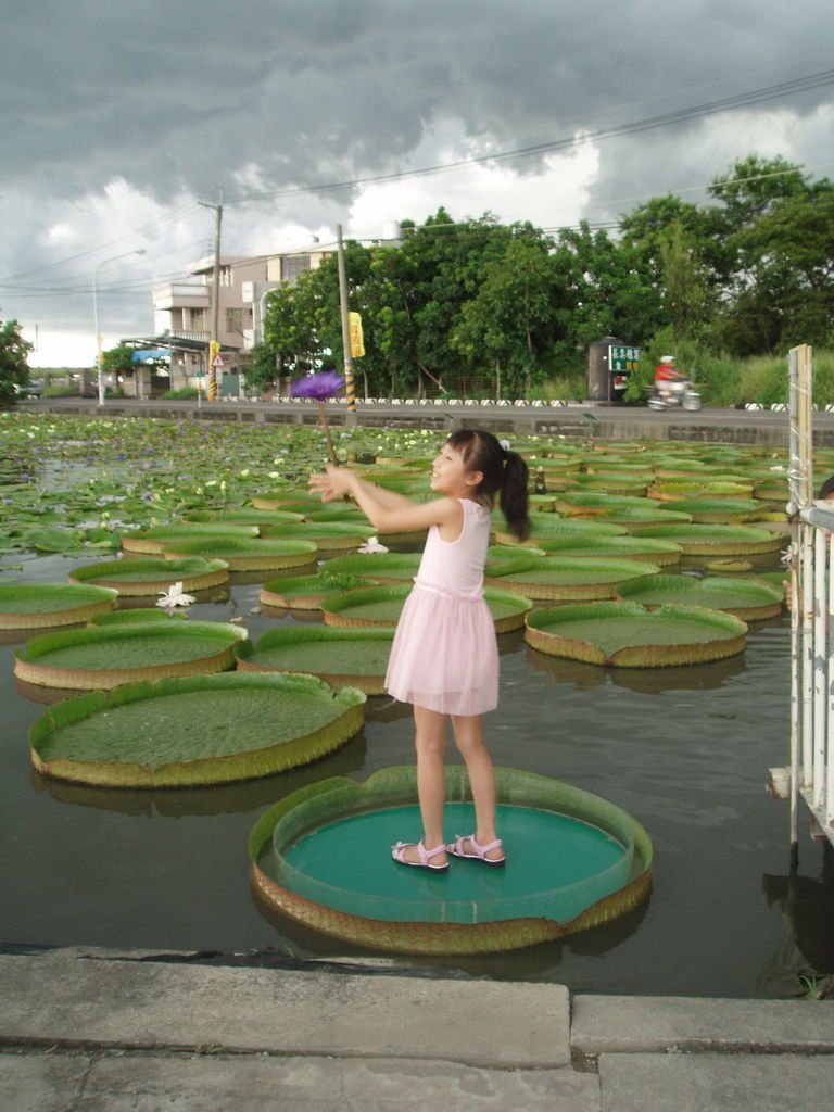 2011-08-16_02_台南白河_蓮緣蓮花池_08_蓮花仙子.jpg