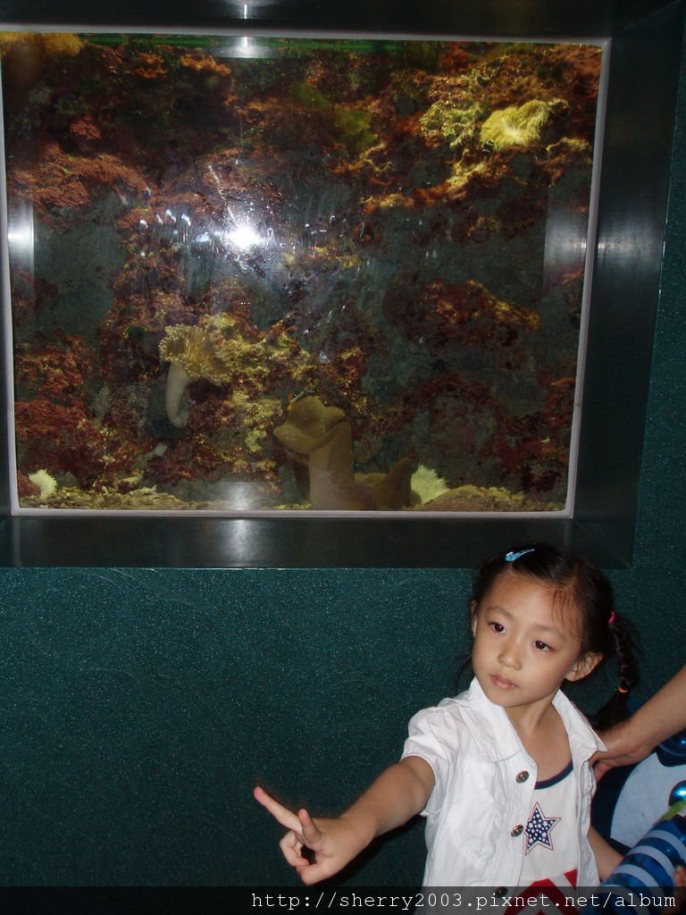 2007-05-28_02_屏東_海生館_03