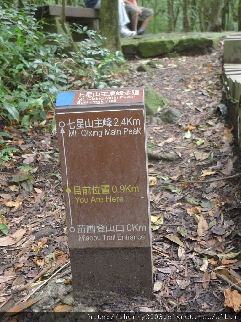 P1010714