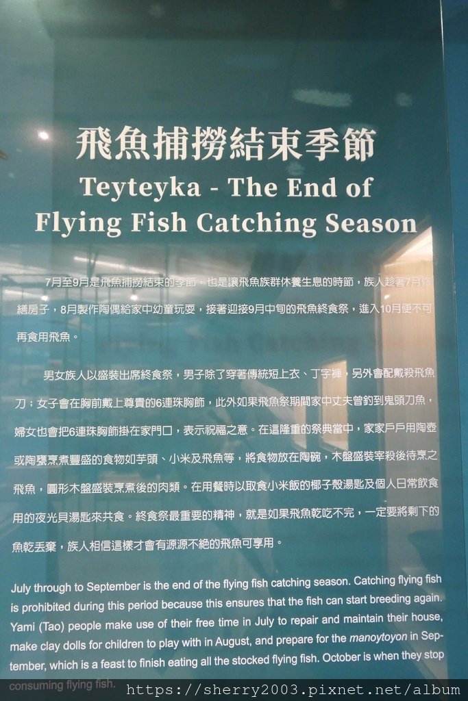 P1100948.JPG