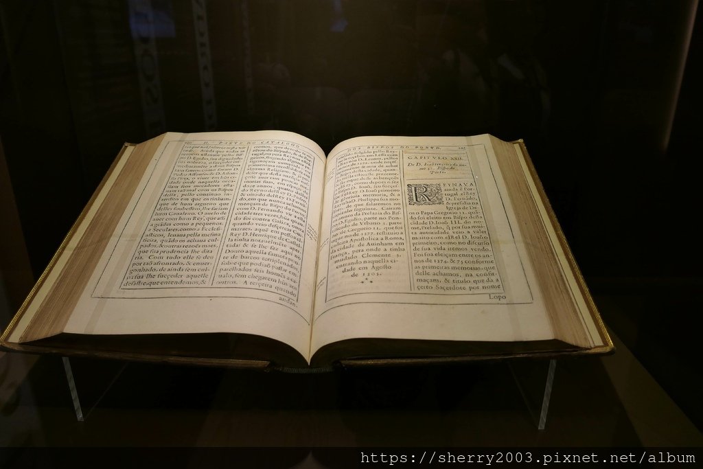 P1012207.JPG