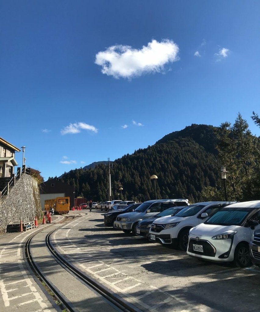 宜蘭太平山｜完美保持原始環境的檜木原始林步道和鐵杉林自然步道