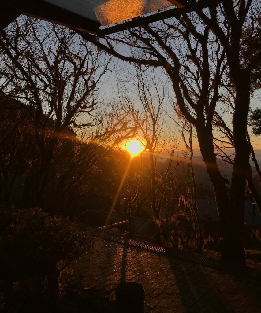 宜蘭太平山｜完美保持原始環境的檜木原始林步道和鐵杉林自然步道