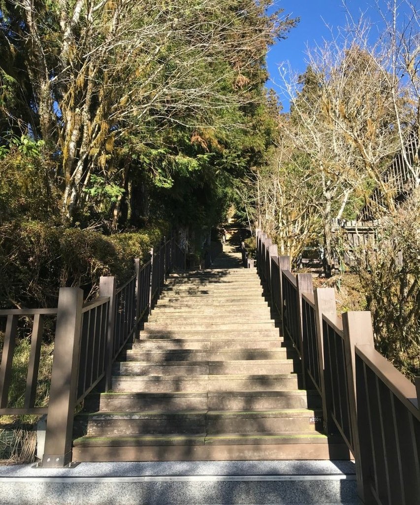 宜蘭太平山｜完美保持原始環境的檜木原始林步道和鐵杉林自然步道