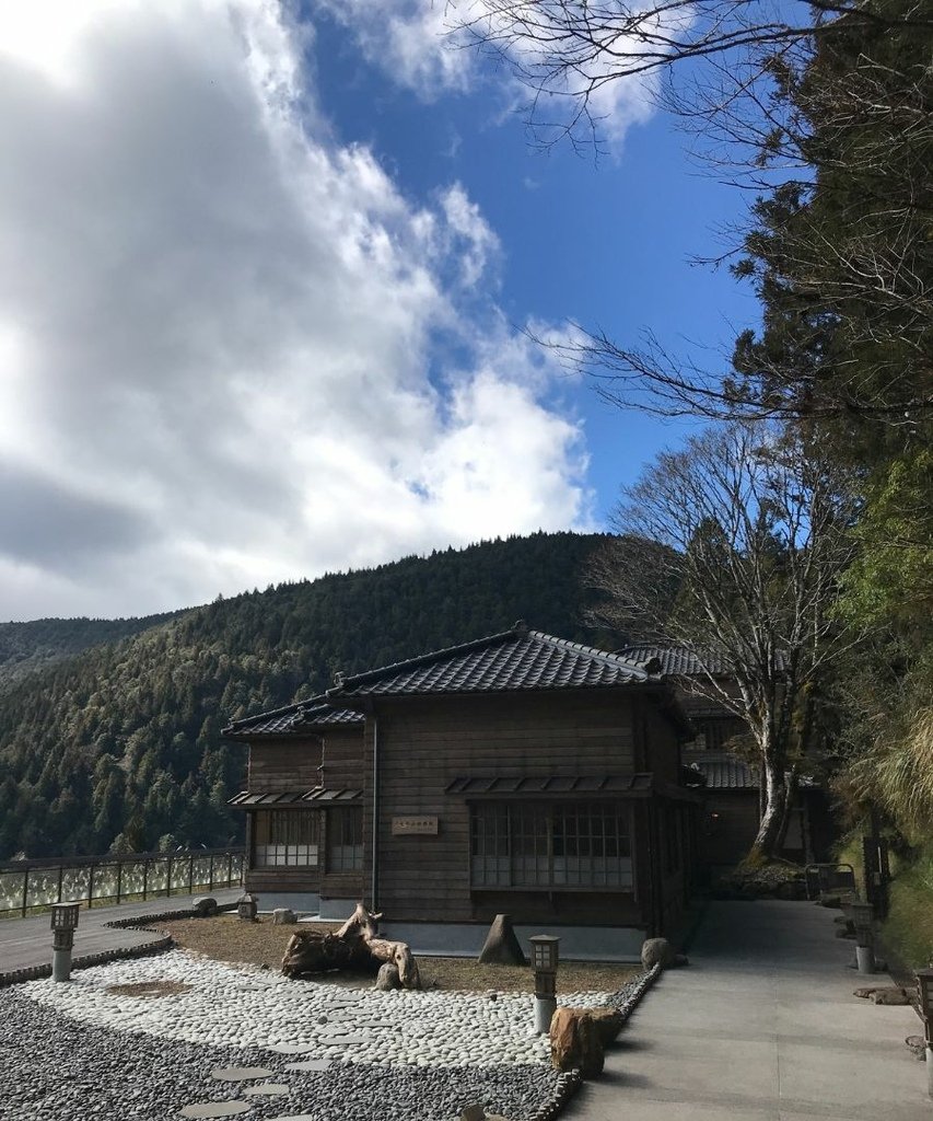 宜蘭太平山｜完美保持原始環境的檜木原始林步道和鐵杉林自然步道