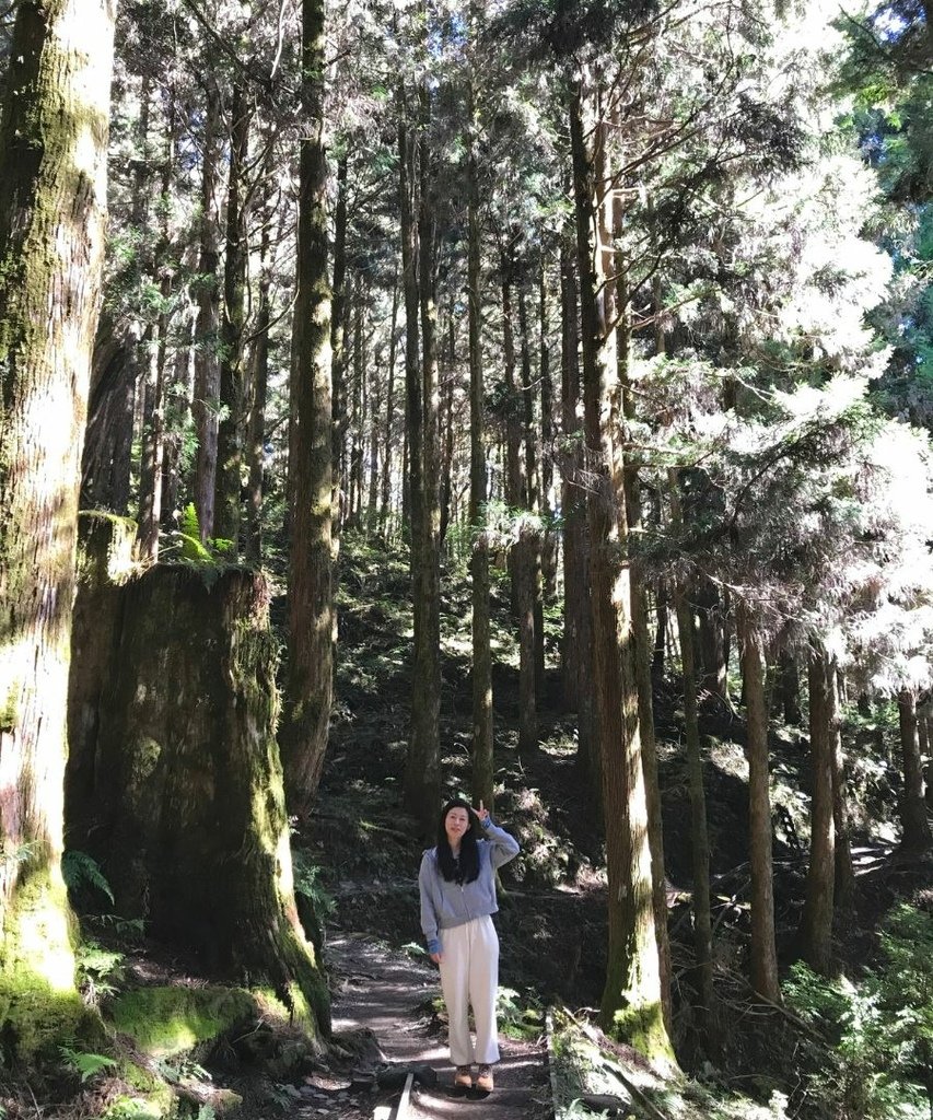 宜蘭太平山｜蹦蹦車去探索茂興懷舊步道以及太平山看到可愛的黃喉