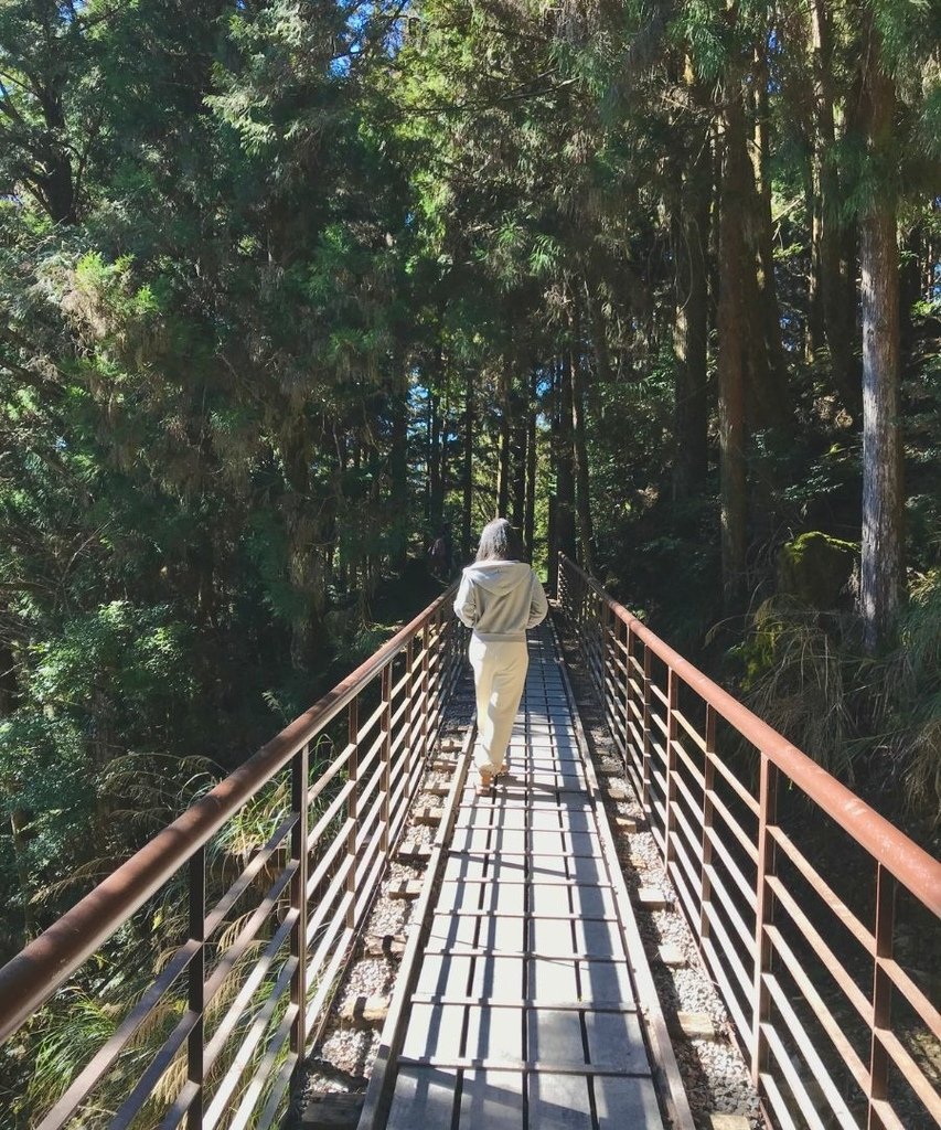 宜蘭太平山｜蹦蹦車去探索茂興懷舊步道以及太平山看到可愛的黃喉