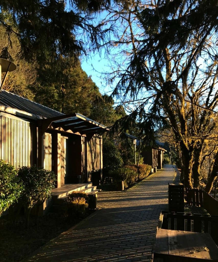 宜蘭太平山｜蹦蹦車去探索茂興懷舊步道以及太平山看到可愛的黃喉