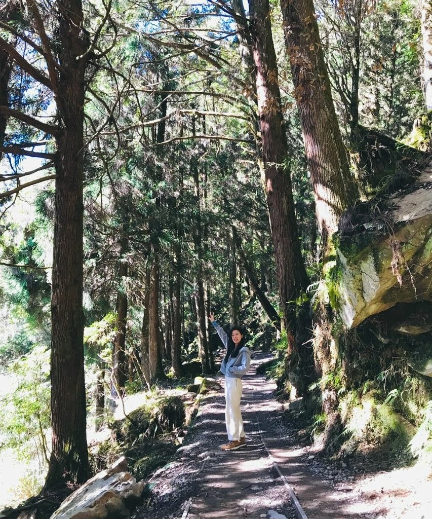宜蘭太平山｜蹦蹦車去探索茂興懷舊步道以及太平山看到可愛的黃喉
