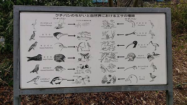 0218八木山動物公園_170218_0004.jpg