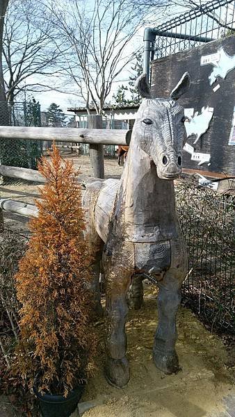 0218八木山動物公園_170218_0006.jpg