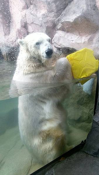 0218八木山動物公園_170218_0010.jpg