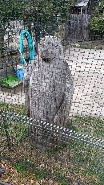 0218八木山動物公園_170218_0008.jpg