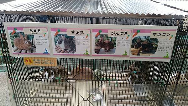 0218八木山動物公園_170218_0016.jpg