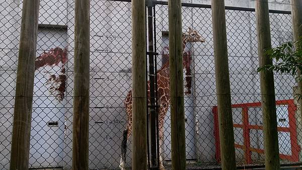 0218八木山動物公園_170218_0017.jpg