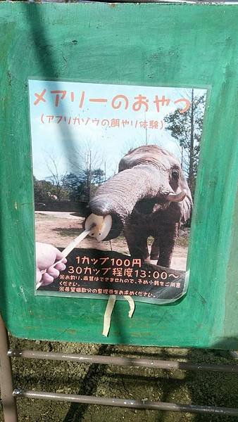 0218八木山動物公園_170218_0022.jpg