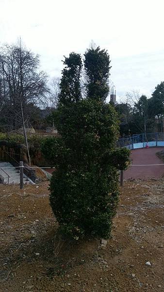 0218八木山動物公園_170218_0025.jpg