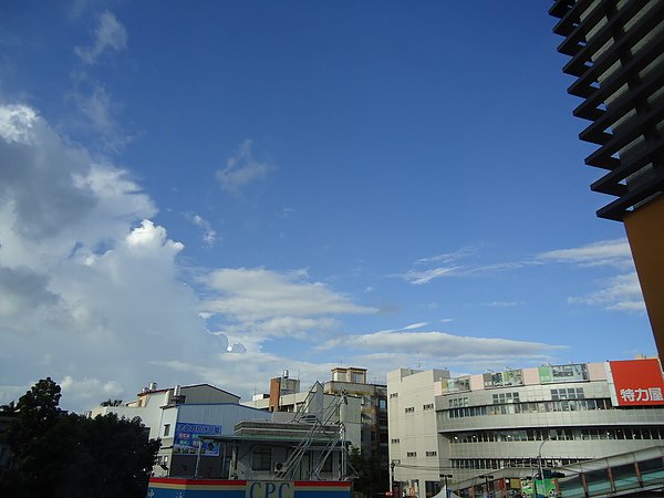 DSC03190.JPG