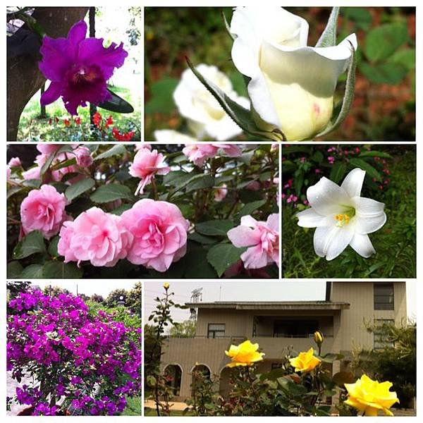 花