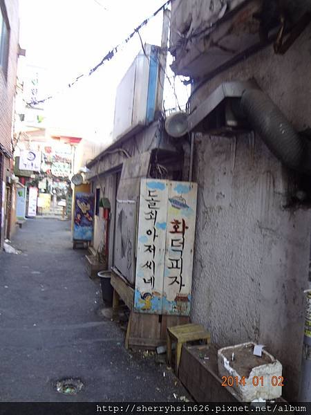 DSC01280.JPG