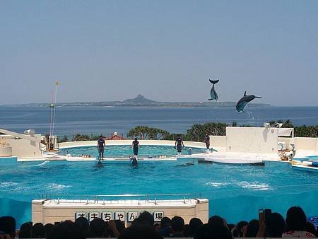 沖繩美麗海水族館