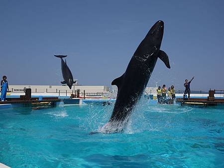 沖繩美麗海水族館