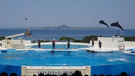 沖繩美麗海水族館