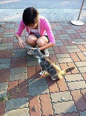 IMG_2788 (複製)