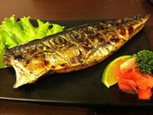 IMG_2910 (複製)