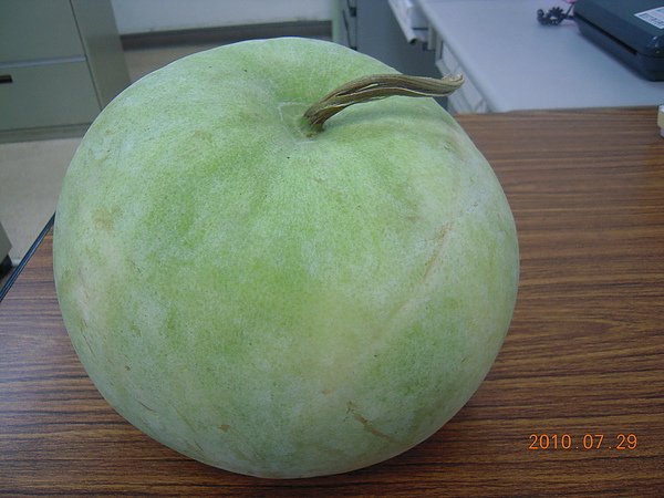 照片 607.jpg