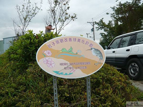 P1160119