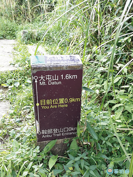 大屯山1    20.png
