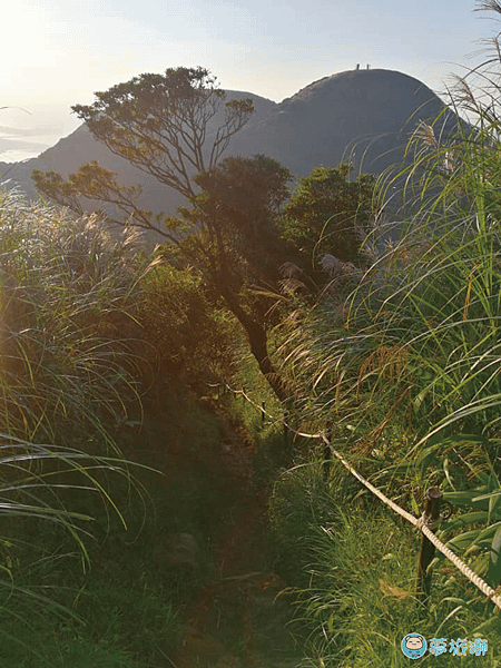 大屯山1    16.png