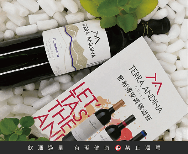 智利德安媞娜酒莊-安地斯系列-卡門妮爾Terra Andina- Varietal- Carmenere 00.png