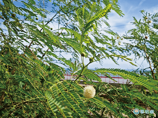 台東太麻里多良火車站   07.png