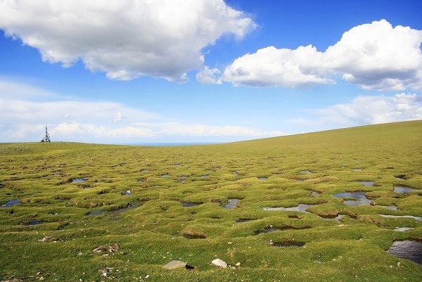 _MG_9093.jpg